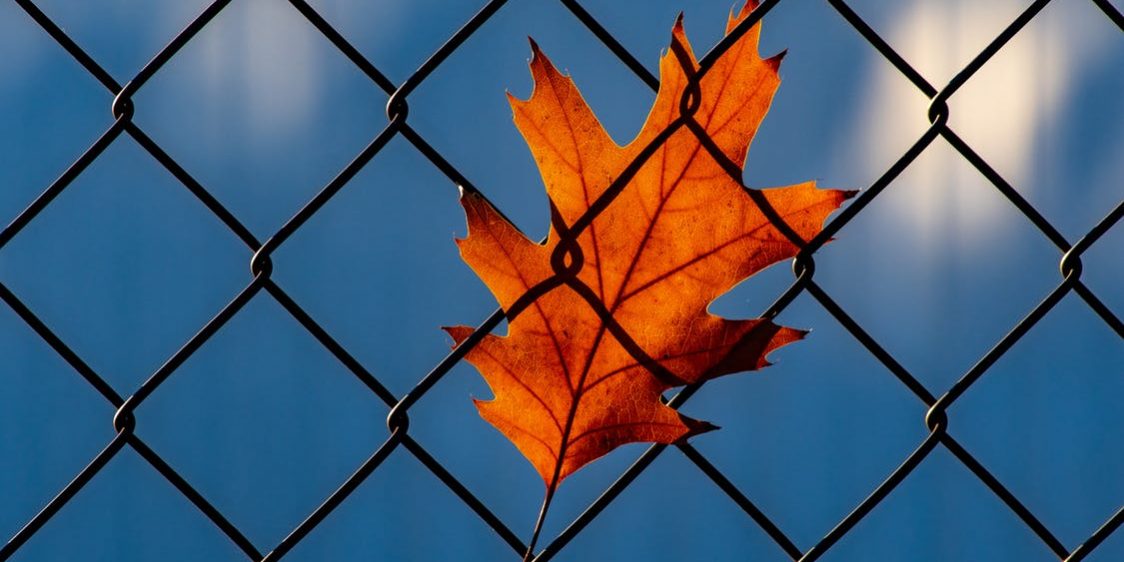 Let the Captives Free